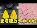 小时候的宝塔糖,放大1000倍是什么样子?#显微镜下的世界 #百科密码 #健康 #science #科普 #熱門 #实验