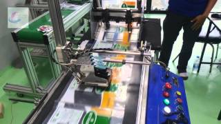 Streamfeeder V-1000 Friction Feeder with Conveyor for Poly Bag, food product