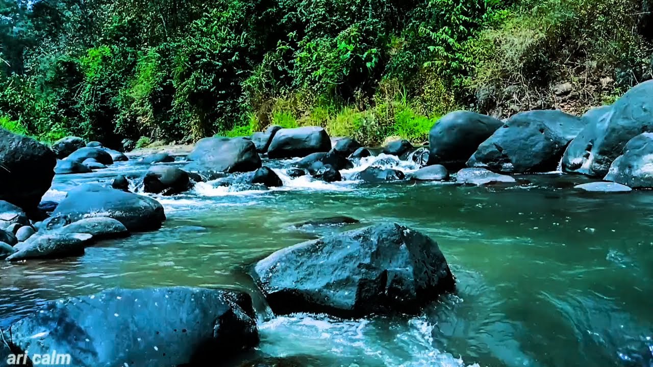 Relaxing River Sounds for Sleep – Gentle Nature Flow for Meditation & Deep Calm #32
