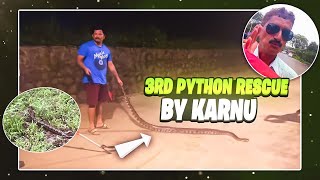 3rd Time Rescued Indian Python & Released In Nature