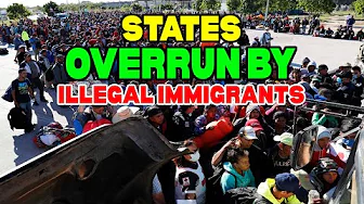10 US States with the Highest Number of Undocumented Immigrants