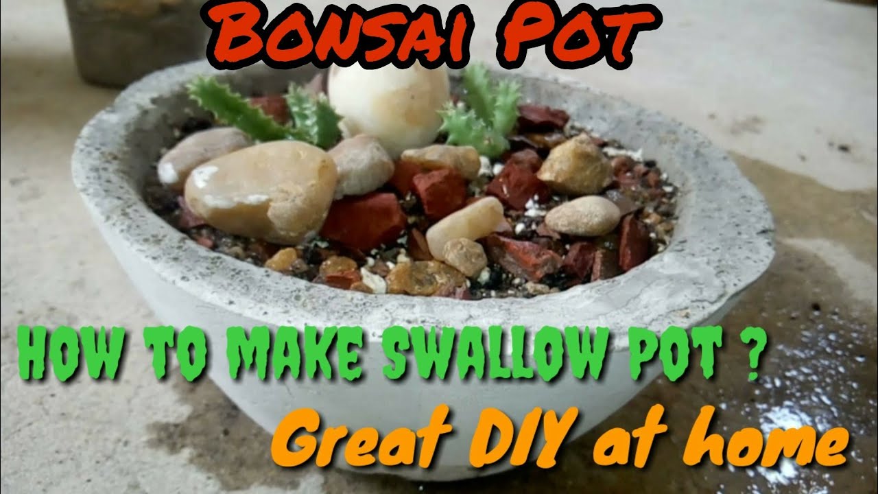 How to make bonsai pot at home ? How to make shallow pot at home ? DIY