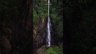 Hidden Kerala Travel Guide 🌴 | 4 Underrated Places You Must Visit #wayanad #bekal #poovar #kerala