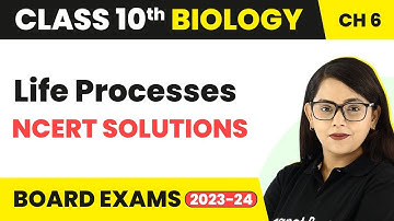 NCERT Solutions - Life Processes | Class 10th Biology