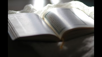 تلاوة خاشعة لسورة البقرة كاملة لمجموعة من القراء