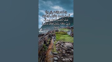 سورة الذاريات تلاوة خاشعة الشيخ سعود الشريم #القرآن_الكريم