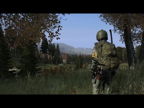 Видео: СТРИМ | DAYZ | 1PP| 10.12.23