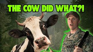 Wild Justice FULL EPISODE | S3 E3 | THE COW DID WHAT!