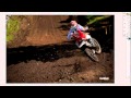 DYT - Red Bud Wallpapers