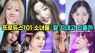 프로듀스101 소녀들 근황 (아이오아이, 탈락자, 1~22위)