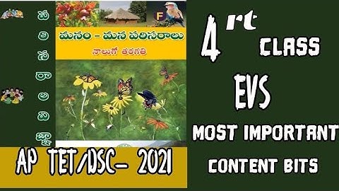 4th class evs important bits for Tet ,dsc-2024(old textbooks)#tet