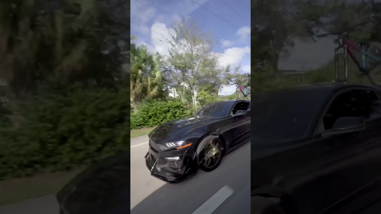 MUSTANG GT SENDS IT Shorts