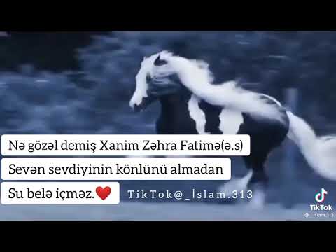 Dini videolar //Mənalı Statuslar //Watsapp status üçün video 2022(4)