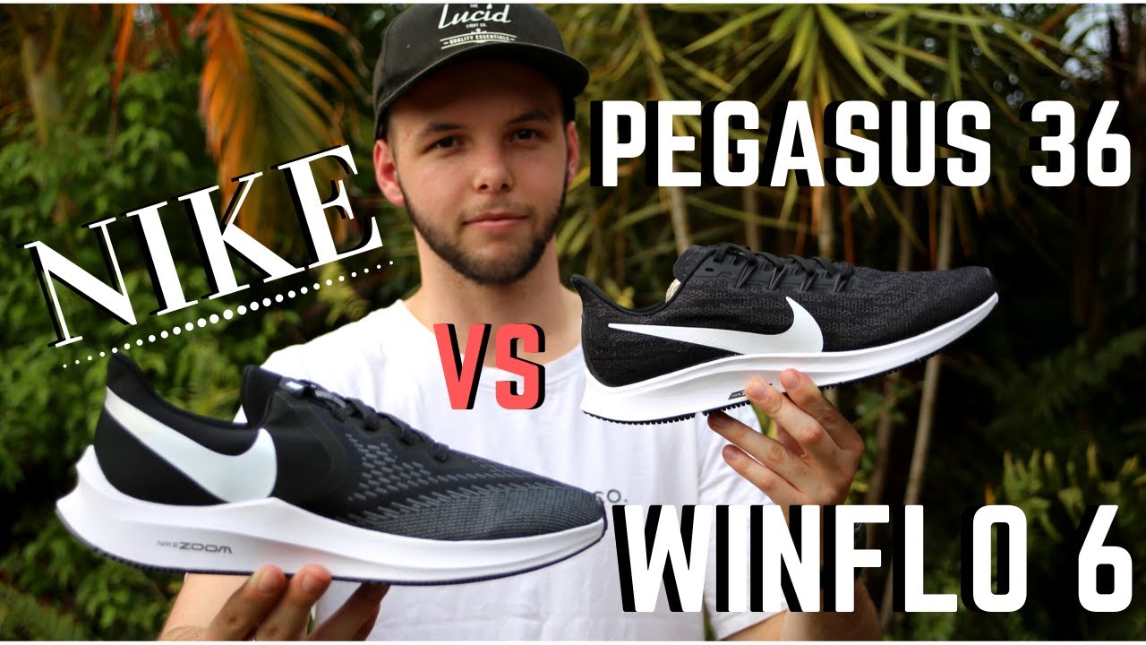 Sucio giro Perla Nike Pegasus 36 vs Nike Winflo 6 | Best Budget Nike! - YouTube