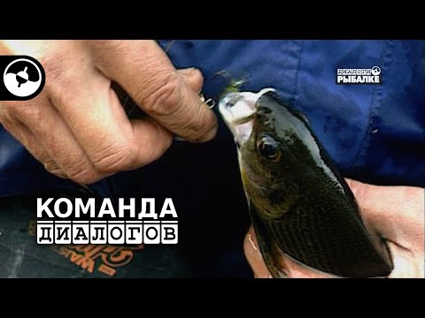 Хариус Подкаменной Тунгуски | Классика