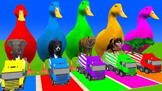 Long Slide Game With Cow Elephant Gorilla Hippopotamus Tiger 3d Animal Game Funny 3d Animals