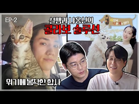 세상에 나쁜 개는 없다 - 멍냥이몽_#002