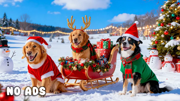 24 Hours Dog TV to Watch ❄️🐶 Christmas Melodies Playful Dogs & Peaceful Playtime 🎄