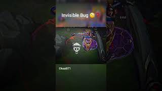 Invisible Bug