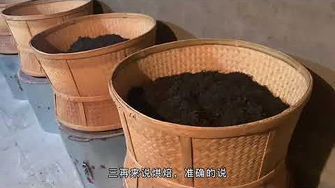 【百味茶集】什麼是烏龍茶？入門知識詳解，進階必備 - 天天要聞