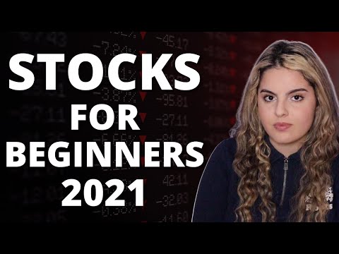 Stock Market For Beginners (2021)