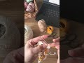 マーガレット風配色で編むドイリー
