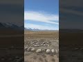 Загадка в сердце Алтая #shorts #travel