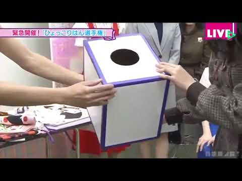 鈴木絢音のひょっこりはんが可愛すぎる.....【46時間TV】