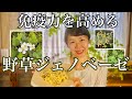 【野草の知恵】女性に嬉しい効能のあるドクダミ・ヨモギ・母子草でパスタ作り！