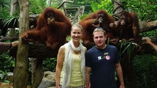 Singapore Morning Zoo Tour and Jungle Breakfast