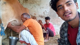 गव म गय क दध कस नकलत हBreastfeedingnew Breastfeeding Vlog