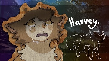 harvey (warriors oc pmv)