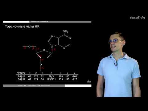 Головин А. В. - Моделирование структур биополимеров - Структура нуклеиновых кислот и хроматин