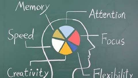 Benefits OF Mid Brain Activation || Miraculous Brain Academy || INDIA