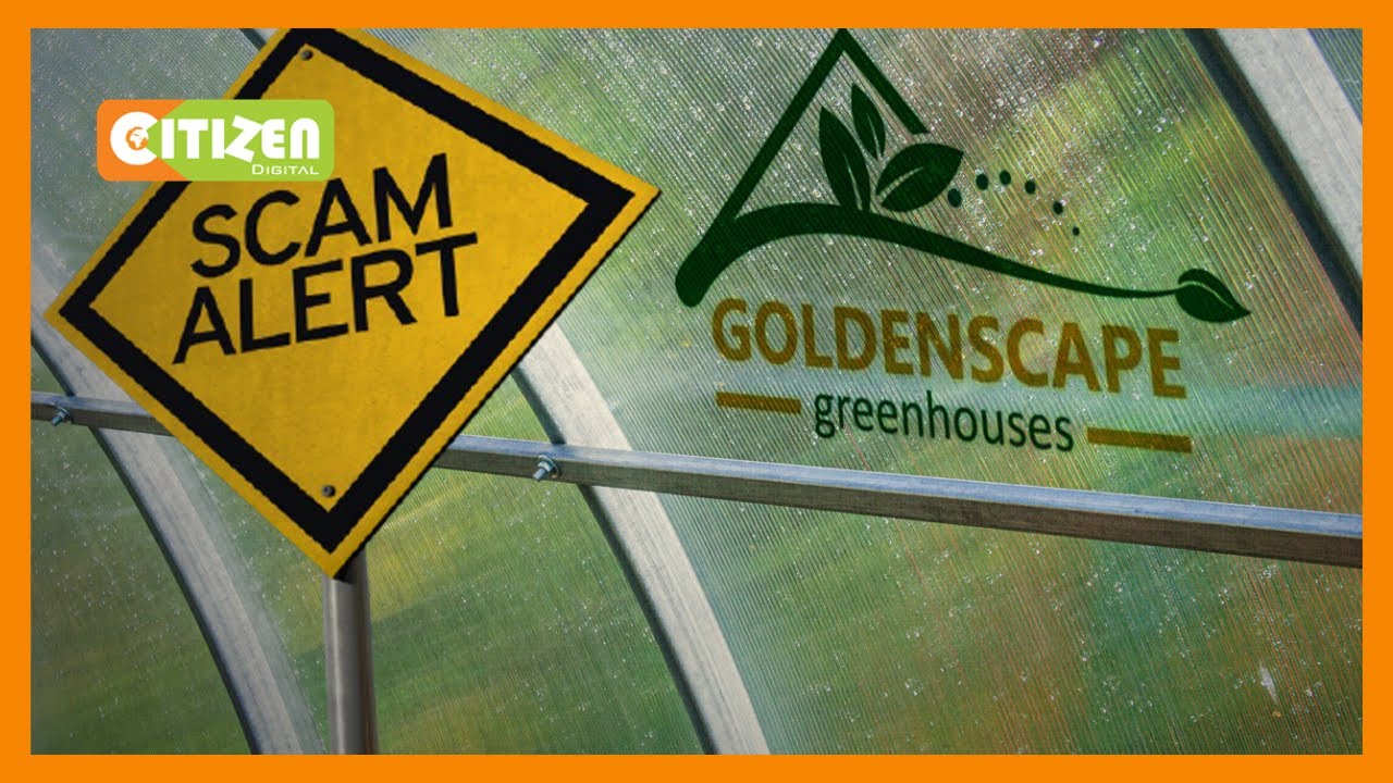 Investors urge DCI to take action against Goldenscape directors