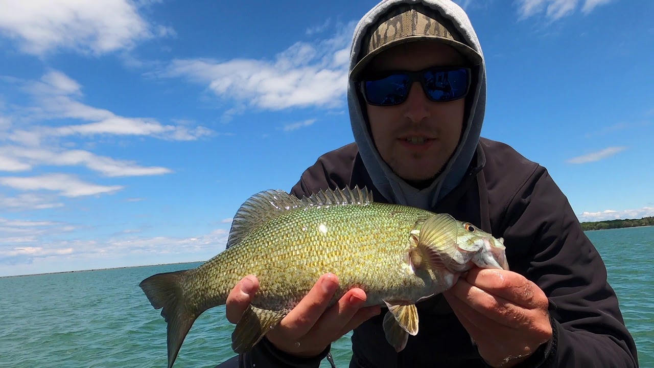 Lake Erie SMALLMOUTH BASS YouTube