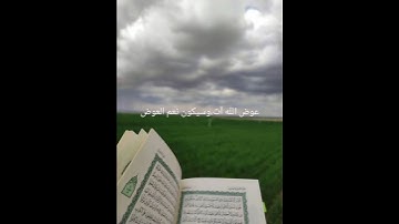 #سورة_التوبة #ادريس_ابكر