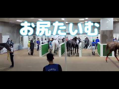 2023/04/30 東京12R ハイアムズビーチが4歳以上2勝クラスを優勝❗パドック、本馬場入場、レース、検量室前、口取りの様子 *天皇賞(春)を優勝したルメール騎手のインタビュー(音声のみ)あり
