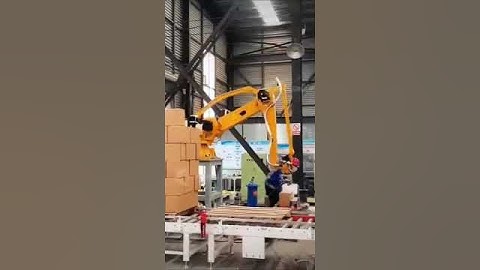 Carton Box Palletizing Robot #palletizing#sunyeurope #shortsvideo