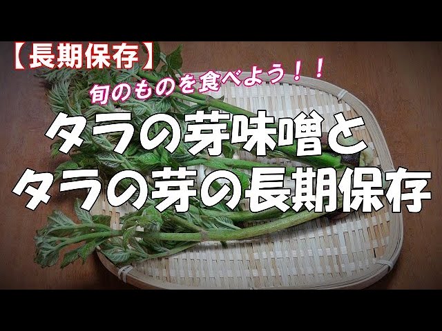 長期保存 タラの芽味噌とタラの芽の長期保存 旬のものを食べよう Youtube
