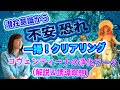 【並木良和さん】不安と恐れは強力...浄化・クリアリングが大切!潜在意識からネガティブ周波数を浄化するワーク(誘導瞑想)(コヴェンティーナのエネルギーワーク)(波動、サイキック能力を上げる)