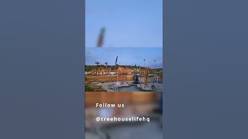 This is Treehouse Life