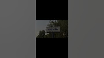 سورة الجاثية آية 24