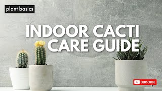 Indoor Cactus Care Guide