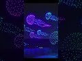 1000 طائرة درون تضيء السماء بأجمل عرض ليلي