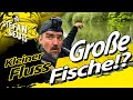 Große FISCHE am kleinen FLUSS?! | Damit hätten wir nicht gerechnet | Freestyle Angeln mit Wurm