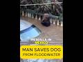 Brave Man Saves Trapped Dog During Storm Surge #heroic  #rescue  #animals