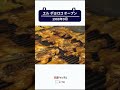 エルポヨロコ札幌にオープン【鉄道チャンネルＨＴＢ】