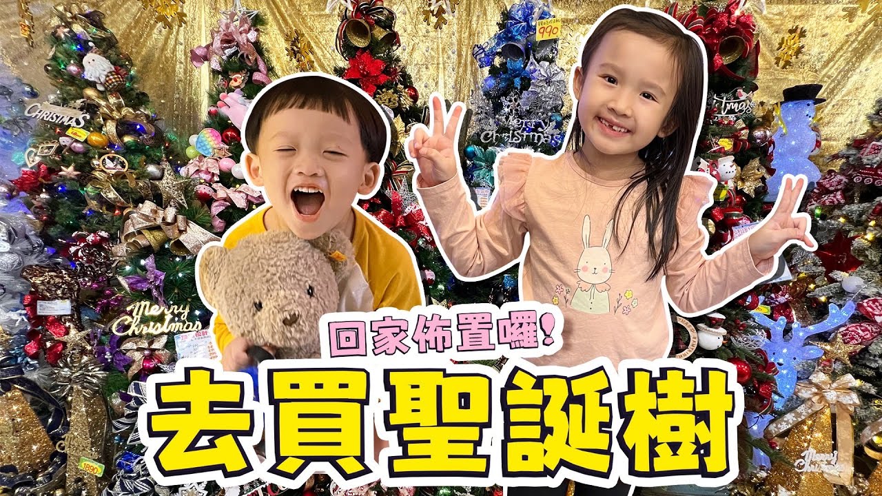 去買聖誕樹回家 │ 準備過聖誕 │ 妹比睿弟