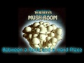 Mush-Room - The Residents (Full Album)